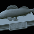 Zander-statue-33.png fish zander / pikeperch / Sander lucioperca statue detailed texture for 3d printing