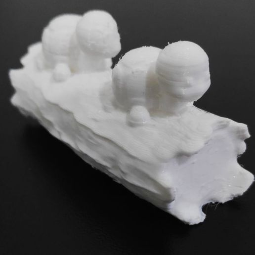 Turtles-Trunk7.jpeg Turtle Trunk