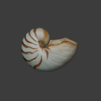ntsabd.png concha de nautilus