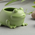 Product-Image.png Frog Planter