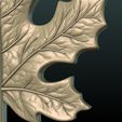 Maple_Leaf-x07.jpg Maple Leaf