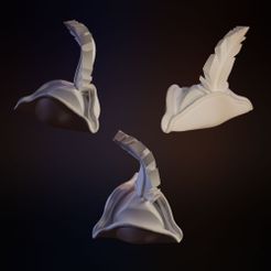 hat.jpg Sombrero de bardo con pluma (bits)