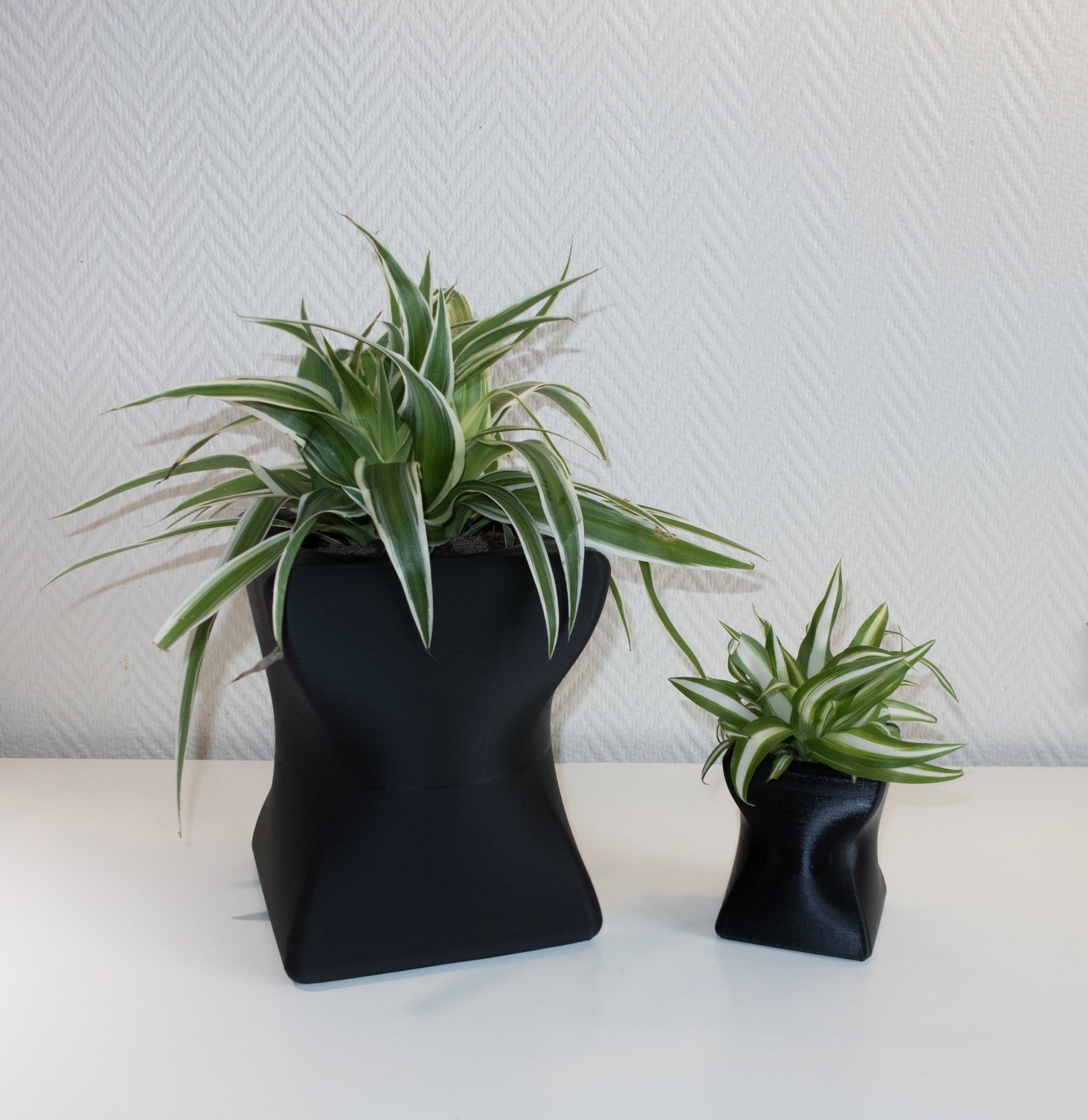 IMG_9774.jpg Download free STL file Small curved planter • 3D print design, Jakwit