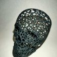 IMG20201203223035.jpg Voronoi Skull 3D print model