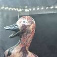 DUCK-g.jpg duck statue
