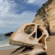 cover.jpg Mamenchisaurus 3D skull