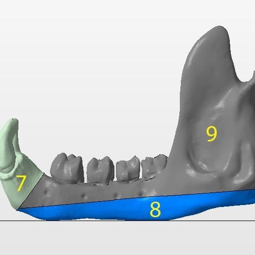 jaw-pieces.jpg Troll Skull