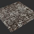 8.jpg Lichen 8K PBR Texture