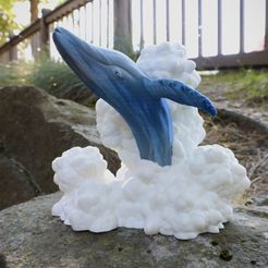 baleine du ciel