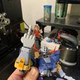 IMG_0740.jpg RG Zeong Hands Collection