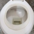 20190426_132111b.jpg Cat toilet training kit - Cat toilet training Kit
