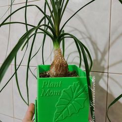 plant-mom-planter-3d-model-de1abea445.jpg Plant Mom planter