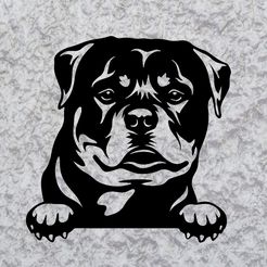 Sin-título.jpg rottweiler perro mural decoración de pared dog deco