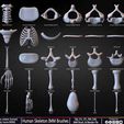 Human-Skeleton-IMM-Brushes-Sculpted-By-Yacine-BRINIS-Set-002.jpg Human Skeleton IMM Brushes