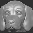 1.jpg Puppy of Pointer dog head for 3D printing