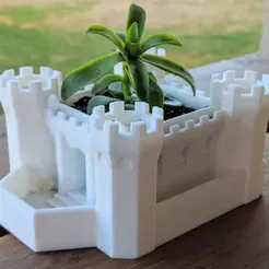 castle.webp Castle with planter