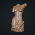 03.jpg Female Torso 3D Model