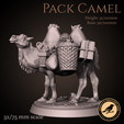Preview00.png Pack camel