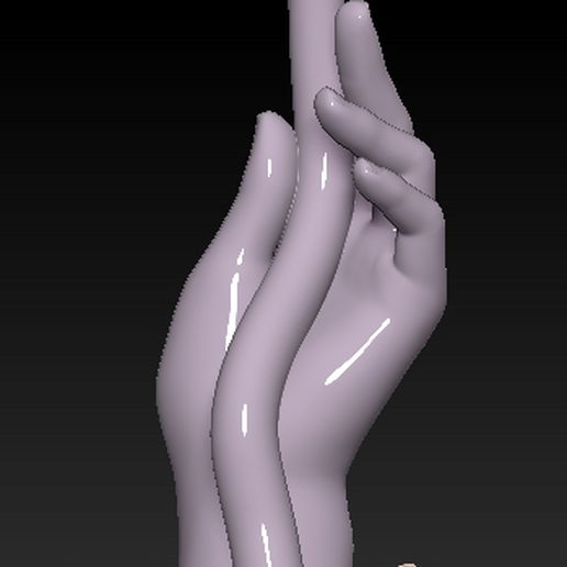 A HOLDING LOTUS HAND 3D model
