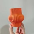 WhatsApp-Image-2024-01-29-at-4.45.30-PM.jpeg moderne Vase 2