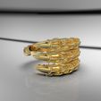 untitled.1811.jpg claw ring