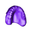 789513050_20250505_0858_Tech_01_OM3_H_total_a_D_Flex_0.stl TOTAL REMOVABLE DENTURE upper + FLEXI PARTIAL DENTURE lower ( total 11 stl files)