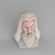 untitled.1749.jpg Dumbledore from Harry Potter bust for full color 3D printing