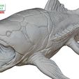 Dunkleosteus-pose-1-16.jpg Ancient Ocean Creature Dunkleosteus 3D sculpting printable model