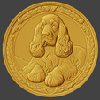 DOG23_IMAGE.png DOG23