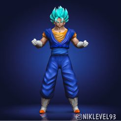 STL file Son Goku - Super Saiyan Blue & Whis Gi 👾・3D printer design to  download・Cults