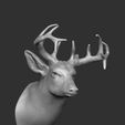 1-ZBrush-Document.jpg Deer head-WALL MOUNTED