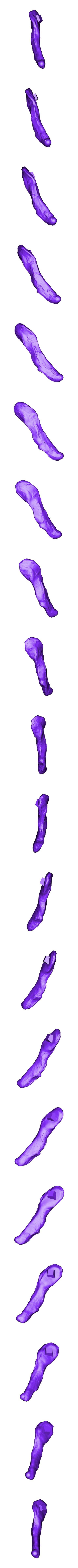 Metatarsals_Right_Part_02.OBJ Scheletro di piccolo T-rex a grandezza naturale - Parte 03/10
