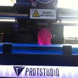 IMG_1062.JPG STL file PinkBunny・Template to download and 3D print