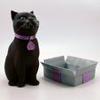 cults3d_cats5.jpg SCHRODINKY: GATO INGLÉS DE PELO CORTO (PELO CORTO BRITÁNICO) EN UNA CAJA - IMPRIMIBLE EN 3D, MODELO 3D MULTIPARTES - KIT DE EXTRUSIÓN SIMPLE.