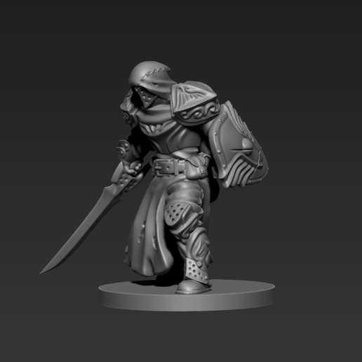 p2.png Paladin - Fighter Miniature