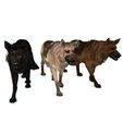 000.jpg DOG DOG DOWNLOAD German Shepherd 3d model animated for blender-fbx-unity-maya-unreal-c4d-3ds max - 3D printing DOG DOG DOG WOLF POLICE PET HUNTER RAPTOR
