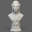 avatar-9.jpeg Bust Neteyam “Avatar”