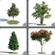 a6c_7TVM.jpeg Pot Plant Long And Fruit 3D Model Tree Decoration 17-20