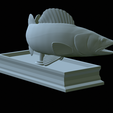 zander-statue-4-mouth-open-34.png fish zander / pikeperch / Sander lucioperca open mouth statue detailed texture for 3d printing