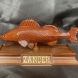 IMG_7753.jpg fish sculpture of a zander / pikeperch with storage space for 3d printing