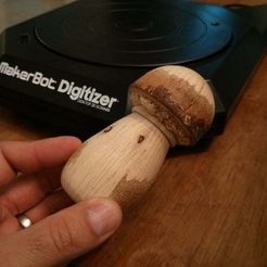 IMG_20131019_143943.jpg Free STL file Lathed wooden mushroom・3D print model to download