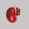 7.png HUMAN KIDNEY SEGMENTATION