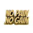 untitled.471.jpg No Pain No Gain - Motivation quotes