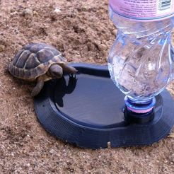 IMG_0240_display_large_display_large.jpg Bassin pour petits animaux