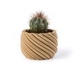 XXXX3291.jpg Cactus planter - Whirly