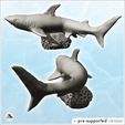 3.jpg White Shark on Ocean Reef (20) - Animal Savage Nature Circus Scuplture High-detailed