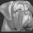 3.jpg English Mastiff head for 3D printing
