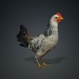 9N.jpg CHICKEN CHICKEN - DOWNLOAD CHICKEN 3d Model - animated for Blender-Fbx-Unity-Maya-Unreal-C4d-3ds Max - 3D Printing HEN hen, chicken, fowl, coward, sissy, funk- BIRD - POKÉMON - GARDEN