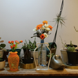 Capture d’écran 2016-11-22 à 19.04.49.png Think outside the bottle vases