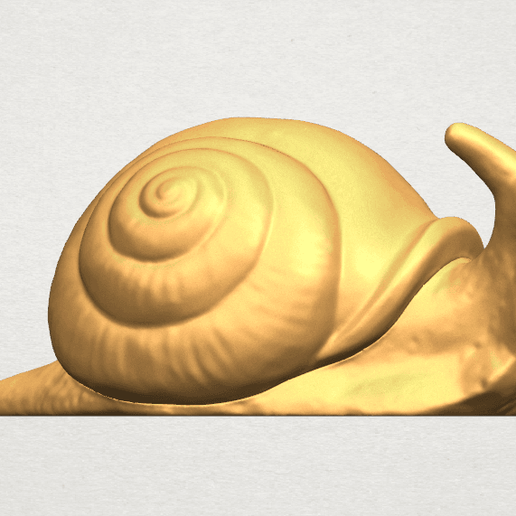 TDA0581 Snail A01 ex1200.png Download free file Snail • 3D printer template, GeorgesNikkei
